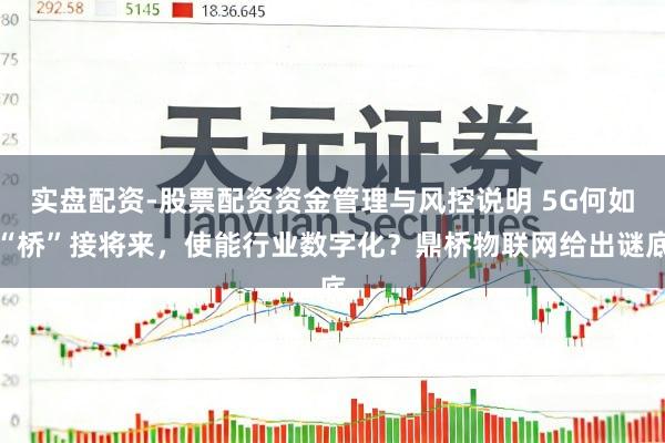 实盘配资-股票配资资金管理与风控说明 5G何如“桥”接将来，使能行业数字化？鼎桥物联网给出谜底