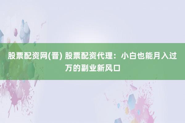 股票配资网(晋) 股票配资代理：小白也能月入过万的副业新风口