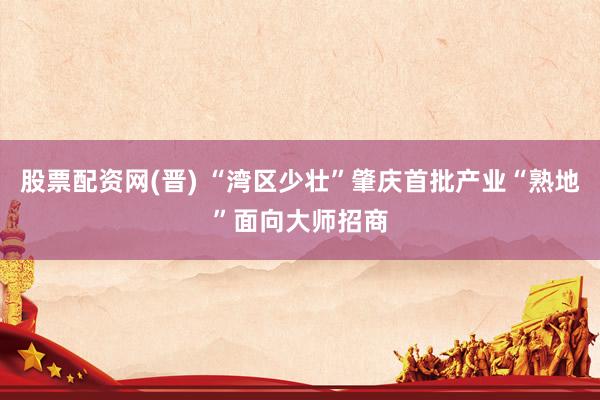 股票配资网(晋) “湾区少壮”肇庆首批产业“熟地”面向大师招商