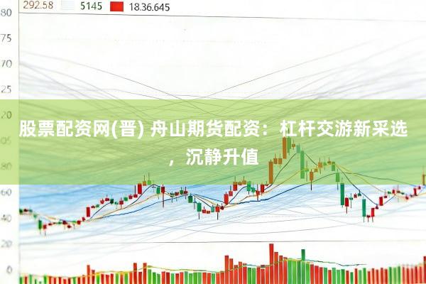 股票配资网(晋) 舟山期货配资：杠杆交游新采选，沉静升值